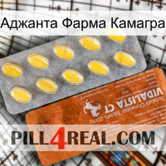 Аджанта Фарма Камагра 42